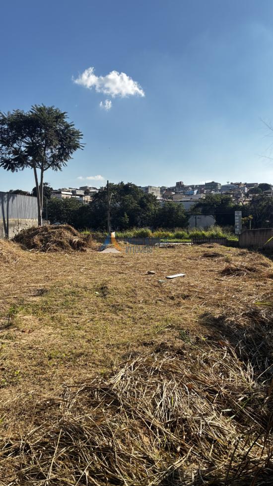 area-aluguel-alterosa-av-juiz-marco-tulio-isaac-1057926