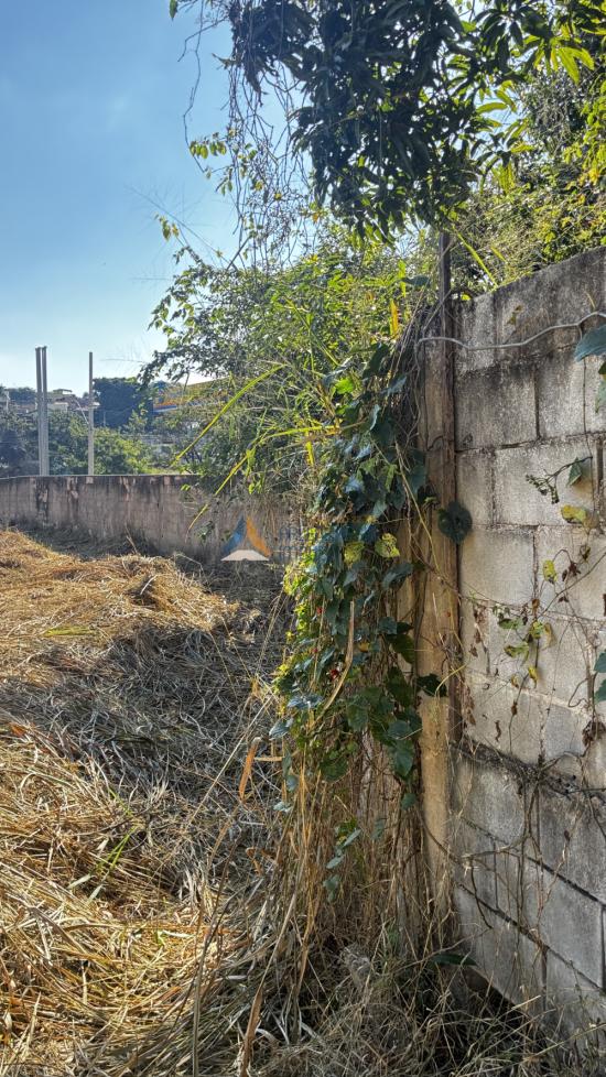 area-aluguel-alterosa-av-juiz-marco-tulio-isaac-1057927