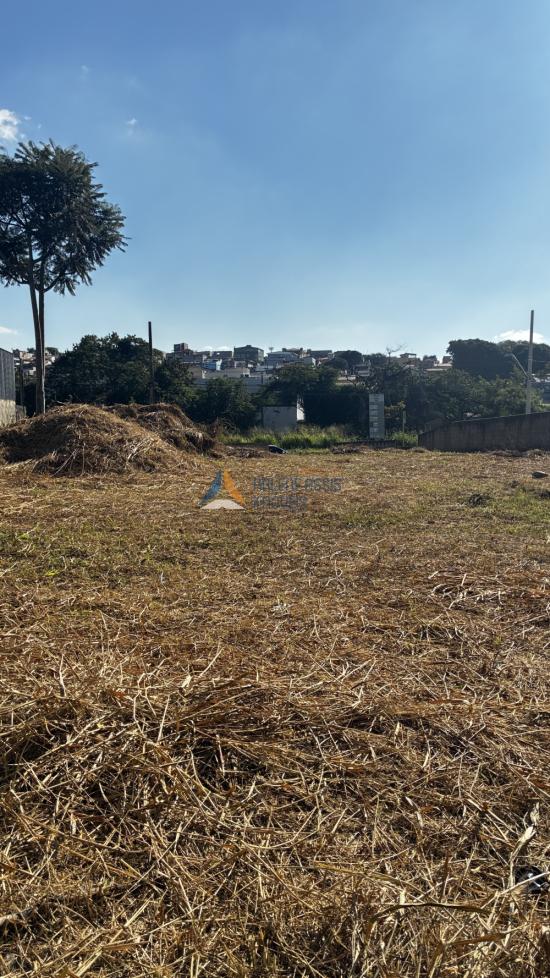 area-aluguel-alterosa-av-juiz-marco-tulio-isaac-1057929